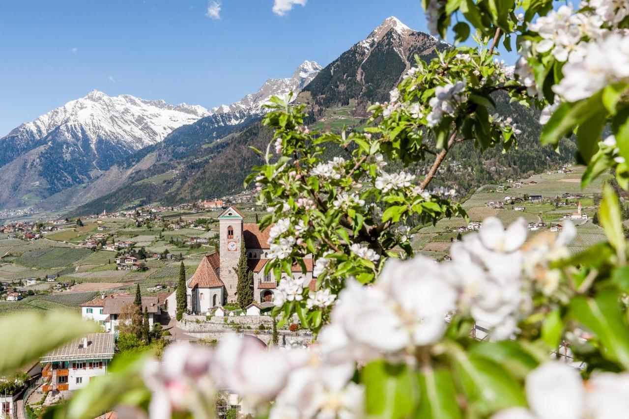 Hotel Mitterplatt Scena Kültér fotó
